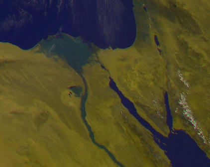 Nile showing vegetation