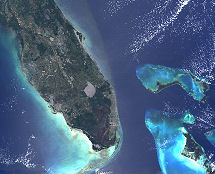 False-colour image of Florida from James Brown